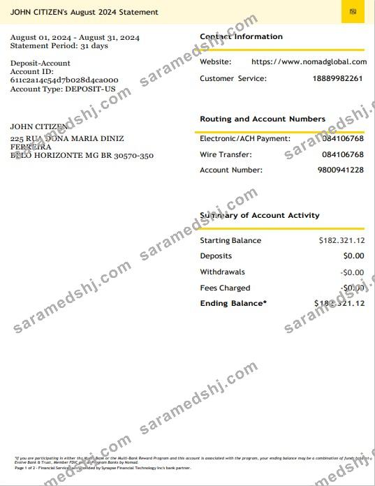 USA Nomad Global bank statement 3 – 6 months Word and PDF example